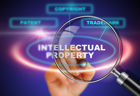 Intellectual Property Portfolio